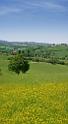 12434_12_05_2012_torrita_di_siena_tuscany_italy_toscana_italien_spring_fruehling_scenic_outlook_viewpoint_panoramic_landscape_photography_panorama_landschaft_foto_3_4668x8555